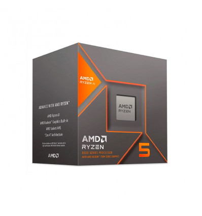 <p>AMD Ryzen 5 8600G</p>
