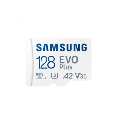 <p>Samsung EVO Plus 128GB</p>