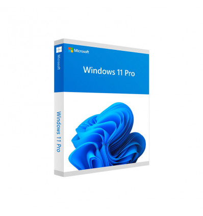 <p>Windows 11 Pro 64 Bits OEM</p>