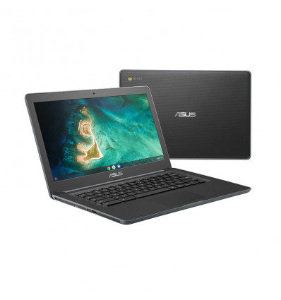 <p>Asus C403NA-FQ0070 Chromebook</p>
