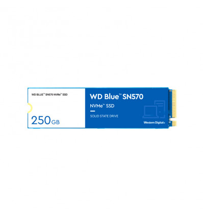 Western Digital Blue SN570 250GB - Disco duro SSD M.2 NVMe